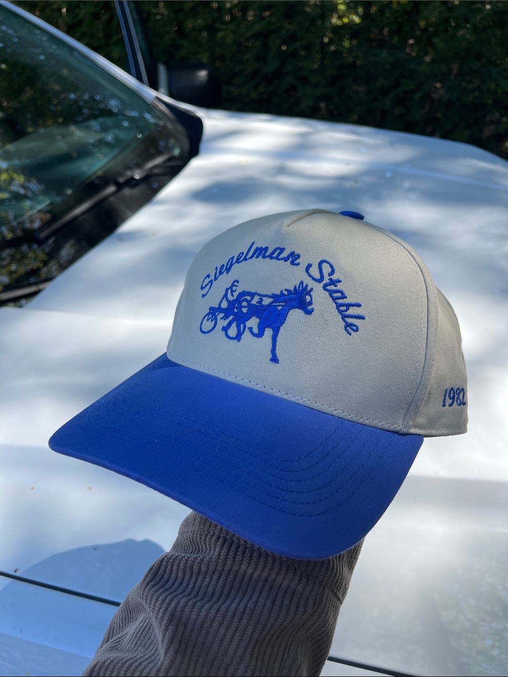 Siegelman Stable x NYK 2026 Playoffs (4/18 MSG Limited Release Drop)